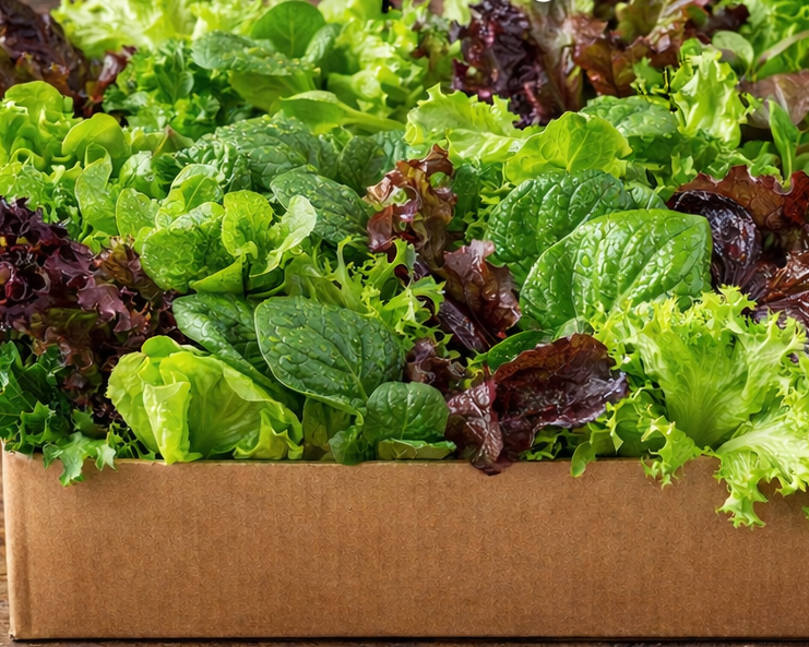 Salad Mix Subscription